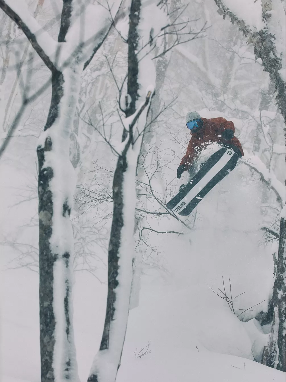 Salomon Dancehaul 147 2023 Snowboard 3 Salomon Dancehaul 147 2023 Snowboard – Bild 3