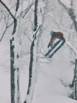 Salomon Dancehaul Grom 135 2023 Snowboard 8 Salomon Dancehaul Grom 135 2023 Snowboard -Skiausrüstung Verkauf DancehaulGrom1352023Snowboard 2